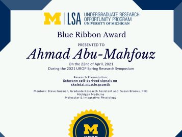 2021 UROP Spring Symposium Blue Ribbon IG 2 